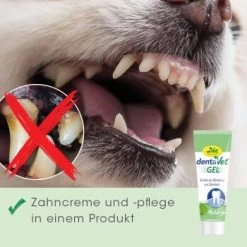DentaVet Gel 35g -Heimtier Verkauf a0d4d3bd9437af6bafea1b3b7a3c5a28814220c7 1249039 de DE 4ce29d2ba67554731965330067a7d46dd701a488pV84j2