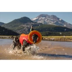 Ruffwear Hydro Plane™ Spielzeug M Orange 11 Ruffwear Hydro Plane™ Spielzeug M Orange -Heimtier Verkauf a3976cd8510df92d7b86f42c35fd984bc0313421 1364300 de DE 7e1ea9adae25d55e79a8aed2cc6dc797ac8d0d03R1qvUL