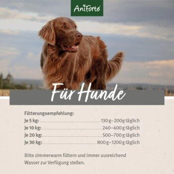 Aniforte CountryBeef Rind Mit Karotte 2,4 Kg 4 Aniforte CountryBeef Rind Mit Karotte 2,4 Kg – Bild 2