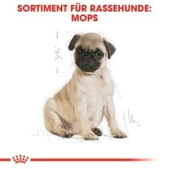 ROYAL CANIN Mops Puppy 1,5 Kg -Heimtier Verkauf a8dcbe3811513f51103c125cc010a70c42f8e19a 27d6edb8ff1416bafe72b5dcbf2cc02303a12fe1