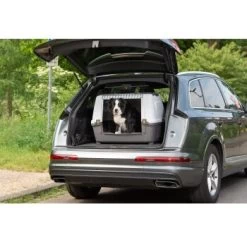 AniOne Kofferraumbox M -Heimtier Verkauf a991e5ff952a4d0b5eb969d4e02a62969db93a45 4d8710e1e9b6b02baac5c0abf4ef7f929323e520