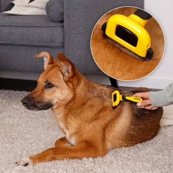 Lionto Haustierbürste, Zupfbürste 8 Lionto Haustierbürste, Zupfbürste – Bild 6