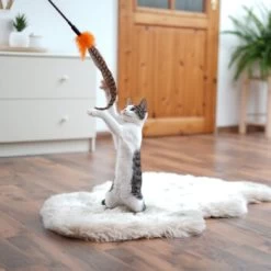 Schlitzohr Federwedel Birdy 3er Pack 14 Schlitzohr Federwedel Birdy 3er Pack -Heimtier Verkauf ad71433917b4c75207a76b8cde2a63e28ac6a3f4 1659562 de DE 3439e97a8a6ef7574f0506829a0694961b8792bfHS2VqL