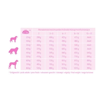 MultiFit Junior Maxi Mit Geflügel & Reis 12kg 4 MultiFit Junior Maxi Mit Geflügel & Reis 12kg – Bild 2