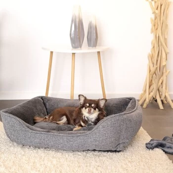 Lionto Hundebett Meliert Hundekissen Grau S 4 Lionto Hundebett Meliert Hundekissen Grau S – Bild 2