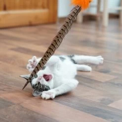 Schlitzohr Federwedel Birdy 3er Pack 17 Schlitzohr Federwedel Birdy 3er Pack -Heimtier Verkauf b2468018bd2b888c11ee64154d86732de60c7830 1659562 de DE 7d36675a42a956412d003b03e1f072b0ae0379063UsHBd