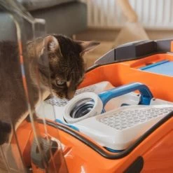 THOMAS AQUA+ Pet & Family -Heimtier Verkauf b29d283b30c65b5964c108db9c904b2f1515a2bd 1408595 de DE b994e116c03c39866ce7571239028dd963780376lYoXei