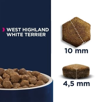 EUKANUBA Breed Specific West Highland White Terrier 2,5kg 7 EUKANUBA Breed Specific West Highland White Terrier 2,5kg – Bild 5