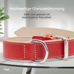 Freudentier Gefüttertes Halsband Aus Leder Rot L 14 Freudentier Gefüttertes Halsband Aus Leder Rot L -Heimtier Verkauf b6a6115b4bff2377ef42c420cc3939331dd65eb4 1655241 de DE 6d5809524c7eef7e530141859c494be8d690f770ogbuUj