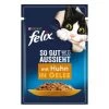 Felix So Gut Wie Es Aussieht Huhn 26x85 G 1 Felix So Gut Wie Es Aussieht Huhn 26x85 G -Heimtier Verkauf bdaca65026910f2fd2d056be2078f30355d1ae79 dbd0232fbda77369c829ce31cd25185290e8013a