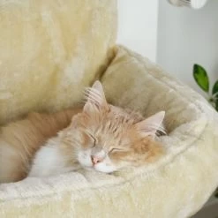 Schlitzohr Heizungsliege Lucky Beige 20 Schlitzohr Heizungsliege Lucky Beige -Heimtier Verkauf bdc02033928d033279e49ebefe91371e629dfd2f 1484673 de DE 4daf09016934a9074c92f48c173e840fa6385a4agwWEjb