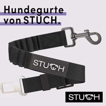 STUCH Universeller Bungee Autogurt Für Hunde & Katzen Schwarz 4 STUCH Universeller Bungee Autogurt Für Hunde & Katzen Schwarz – Bild 2