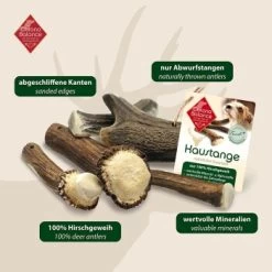 ChronoBalance Rothirsch Geweihstange Halbiert 50 G 13 ChronoBalance Rothirsch Geweihstange Halbiert 50 G -Heimtier Verkauf c1c1d5f2dc2e68436e3d9eaba95be50761e7d2bf 1409474 de DE 902a389be4b99eb60431c66affbaefe4377d7689mK4Gdf