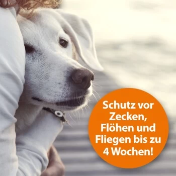 Ardap Zeckenspray Zur Anwendung Am Tier 250ml 7 Ardap Zeckenspray Zur Anwendung Am Tier 250ml – Bild 5