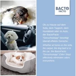 ChronoBalance BactoFacto Probiotischer Geruchsstopp Pads Für 2 Liter 20 Ml 13 ChronoBalance BactoFacto Probiotischer Geruchsstopp Pads Für 2 Liter 20 Ml -Heimtier Verkauf c27e75fc226c89e592b2af9866887997e79057a8 1397549 de DE 11eaf103bff429178d8c79950fc83faf63345183BU6JEF