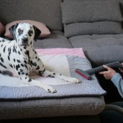 THOMAS AQUA+ Pet & Family -Heimtier Verkauf c3381bf4158feb85ebfd3f3d8bb59ef108b95290 1408595 de DE f1089c65a30ba894d2939997310129f1b316d2cdCtnGOW