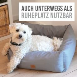 KaraLuna Autositz Kleine Hunde -Heimtier Verkauf c43a66d74eef51b612eae7a548cb2b038009505b 1657442 de DE c74c72488e6718cfafbeff5d99ede07a37048260HkNpMo