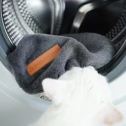 Schlitzohr Ersatzbezug Fensterbankliege -Heimtier Verkauf c44f5fad67fab64db3ef26e146c719a3d2389fbc 1484679 de DE 38c69d6b10c531d0e387a2779b1fe95849f4182emjKnBo