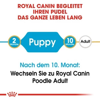 ROYAL CANIN Poodle Puppy 3kg 11 ROYAL CANIN Poodle Puppy 3kg – Bild 9