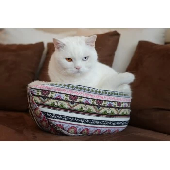 Canadian Cat Company Katzenschiff LUNA 4 Canadian Cat Company Katzenschiff LUNA – Bild 2