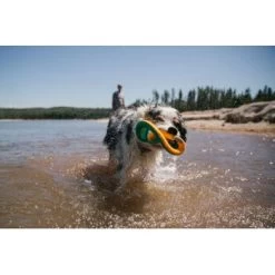 Ruffwear Hydro Plane™ Spielzeug L Blau/ Türkis 19 Ruffwear Hydro Plane™ Spielzeug L Blau/ Türkis -Heimtier Verkauf c85f56c174e45f26bb8b85eb8209e1187b03cb62 1364299 de DE 9aa31f36273b943af3517e0584e57ea49be3ad7aNQkaUi