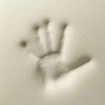 Rexproduct Otto Orthopädisches Hundebett Graphit S-XL Khaki S 5 Rexproduct Otto Orthopädisches Hundebett Graphit S-XL Khaki S – Bild 3