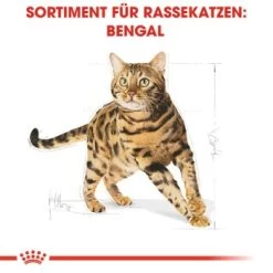 ROYAL CANIN Bengal Adult 10 Kg 14 ROYAL CANIN Bengal Adult 10 Kg -Heimtier Verkauf cb3c9b745b0cf6e86ca2308b544461de43105143 e7122eb5a9e8a316aad32423edb5418ecd6d24cd