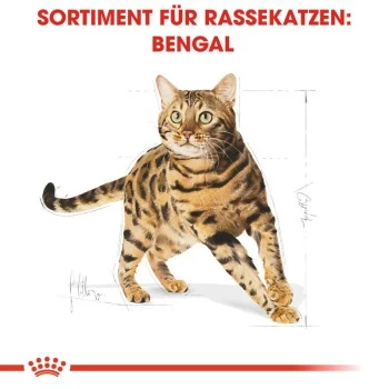 ROYAL CANIN Bengal Adult 10 Kg 8 ROYAL CANIN Bengal Adult 10 Kg – Bild 6