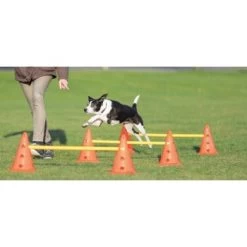 Trixie Dog Activity Hindernisse Ø23x30cm -Heimtier Verkauf cf5032631aac0df221da4281f2bf49a2321f1aa1 1287032 de DE Trixie Hindernisse wb 1