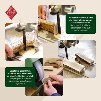 ChronoBalance Rothirsch Geweihstange Halbiert 50 G 5 ChronoBalance Rothirsch Geweihstange Halbiert 50 G – Bild 3