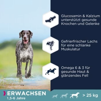 EUKANUBA Getreidefrei Mit Fisch Für Große Rassen 12 Kg 4 EUKANUBA Getreidefrei Mit Fisch Für Große Rassen 12 Kg – Bild 2