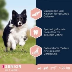 EUKANUBA Senior Small & Medium Breed Lamm & Reis 12 Kg -Heimtier Verkauf d6ab91a099af21f8767b6e3ef91e63c46e7659a9 38e1b9385153b1f6364894e35d40afe9cd5b0cab