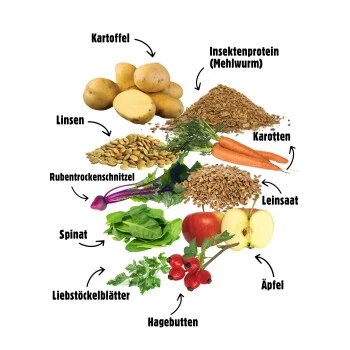 Eat Small EatSmall 2kg Balance Trockenfutter 7 Eat Small EatSmall 2kg Balance Trockenfutter – Bild 5