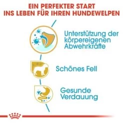 ROYAL CANIN Poodle Puppy 3kg 17 ROYAL CANIN Poodle Puppy 3kg -Heimtier Verkauf d85ac403c47aed96fc4971788a290d1a23bbe67f e0ab538c5a3f428d49f7b31083a4afb802078973