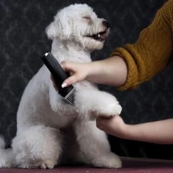 Moser Schermaschine Arco Pro -Heimtier Verkauf d94979d61f2023cf0118c8257a8bd4066fa8858b ed4a0b808fc43743a84927566ac43a708eadd5ba