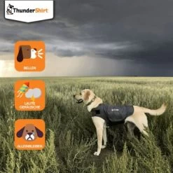 Thundershirt Beruhigungsweste Grau XS -Heimtier Verkauf dba829e1909f5c4f6710e4085b27664b9bf6ac3e 1102942 2