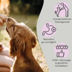 FAVLY Petfood FAVLY Probierpaket "Snack It" 9 FAVLY Petfood FAVLY Probierpaket "Snack It" -Heimtier Verkauf dc5b054a1856015b5520ee0c93c28a4fb39de67b 1475299 de DE bcd19e82d8cef6406b2da819607bae8cb1dc87b7SuCihO