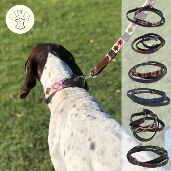 Kipita Polo Hundeleine Rainbow 6 Kipita Polo Hundeleine Rainbow – Bild 4