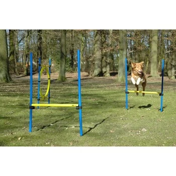Dobar 3-teiliges Agility Sprung-Set,, Inkl. Tragetasche 4 Dobar 3-teiliges Agility Sprung-Set,, Inkl. Tragetasche – Bild 2
