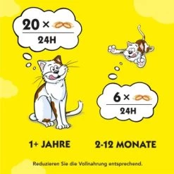 Dreamies Snack-Vielfalt 12x60g 13 Dreamies Snack-Vielfalt 12x60g -Heimtier Verkauf e1b190f4f53100ff83c0fb6481ba747fb1f78bad 1297459 2