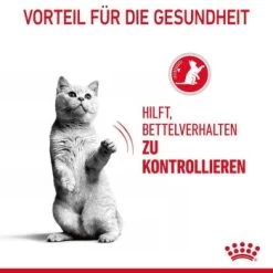 ROYAL CANIN Appetite Control Care 10 Kg 17 ROYAL CANIN Appetite Control Care 10 Kg -Heimtier Verkauf e276cfa2e31b217203991f51fb004358a4bc8efd 1343821 2