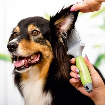 Moser Flexible Zupfbürste - Zweiseitig 4 Moser Flexible Zupfbürste - Zweiseitig – Bild 2