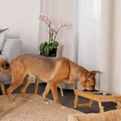 Lionto Hundenapf Aus Bambus, Futterstation -Heimtier Verkauf e407bd5a8062235d6df591263a6ef3180dc94cc2 1665995 de DE 162ba6c1e7567660cedf4e14a34b75d8c0bf591biQNwL2