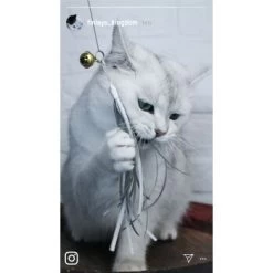 Kater Kasimir Premium Katzenangel Mit 4 Handgemachten Anhängern Aus Naturmaterial -Heimtier Verkauf e6fe48d27b82d48675d665ee2a143e3c11de2fd9 1408150 de DE b29a5f7f2530ce6388e16e2600369d70b2ec0350kYn6B8