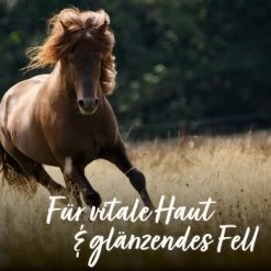 Aniforte Bierhefe Pulver 250 G -Heimtier Verkauf e90f799f42291bc99923416c38244a01fcbd0b4c 1665877 de DE 065f59ee75fc3ae72a0315edf84d964644e562bc3Nrs7r