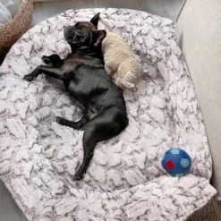 Wallace & Jones Hundebett Cordo-Heaven S -Heimtier Verkauf e93a1c7230d5e68bce6327ea17899707386bce88 1449008 de DE cd9be4db759cf7be03c3a1803409c0da67c4816eifOskb