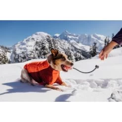 Ruffwear Huck-a-Cone™ Spielzeug Gelb 12 Ruffwear Huck-a-Cone™ Spielzeug Gelb -Heimtier Verkauf ea98ba28a80e7e3459d18c2c37ca798f312d9f97 1639757 de DE 35a4a31f6243ffbca91c45b725da11735b075a462JVicB