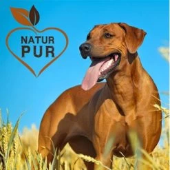 Fit-Crock Basic Rind Maxi -Heimtier Verkauf ec357c554beb4e37f8bb7a6fb10e9f8ab884c69d 1687103 de DE c323a5c257120307a86f095cf5f49de81ac2f711Ful2Am