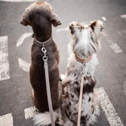 Freudentier Führleine Aus Leder Braun/ Grau 2 Cm -Heimtier Verkauf ed7363242b5af0aeac560375765364d8d1a9d7ca 1421435 de DE d40365deffc471619a8891f2d10bbb6785191840MHr5Vx