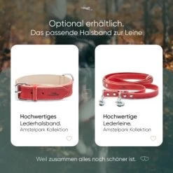 Freudentier Gefüttertes Halsband Aus Leder Rot L 15 Freudentier Gefüttertes Halsband Aus Leder Rot L -Heimtier Verkauf edbbec2203d36f9f92e63e25e5dac1465e2212f9 1655241 de DE f27ae6c917577706d4abf31813f6f4ca38005295rnxmmc